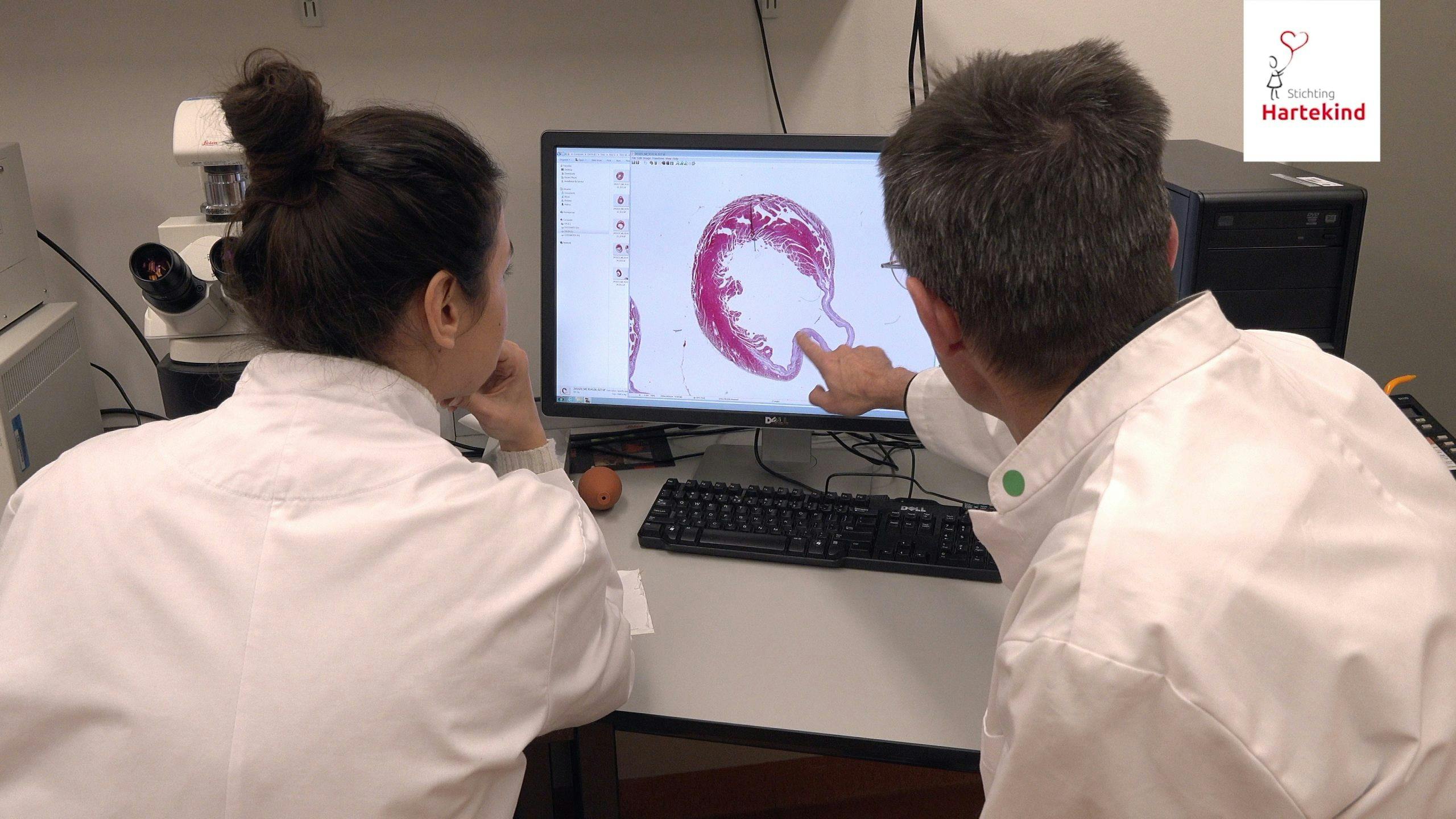 Outreach onderzoekers wijzen naar hart op beeldscherm genetica